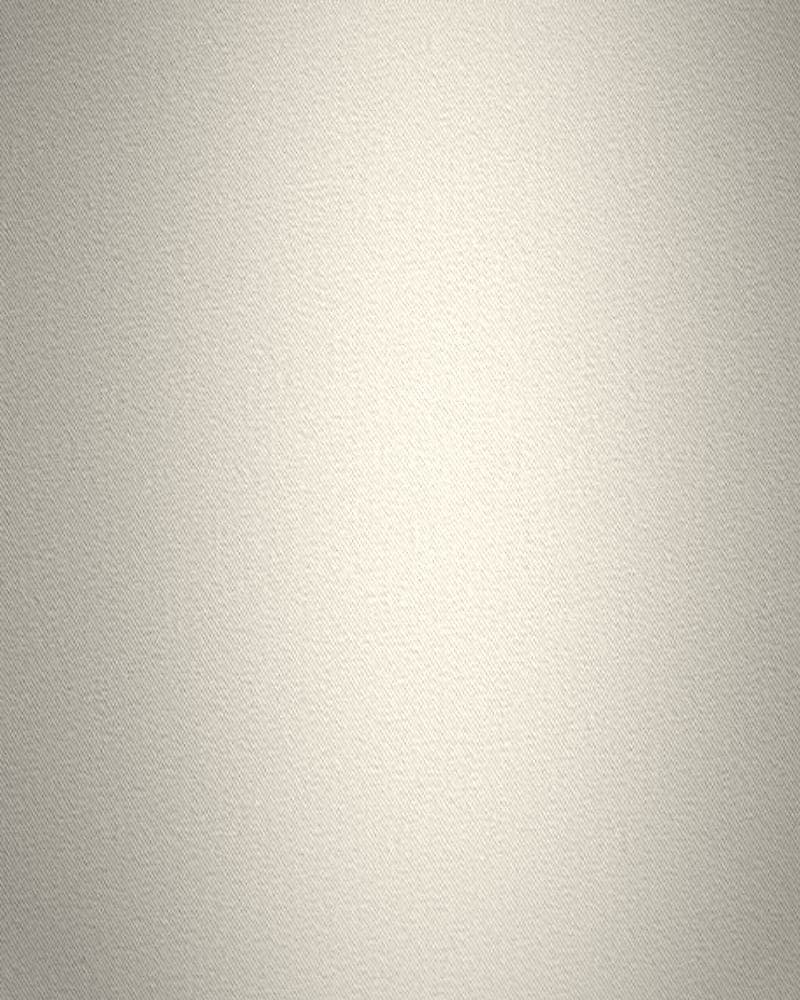 VPI 1450R: close-up of white brushed cotton interlining with a soft, matte surface