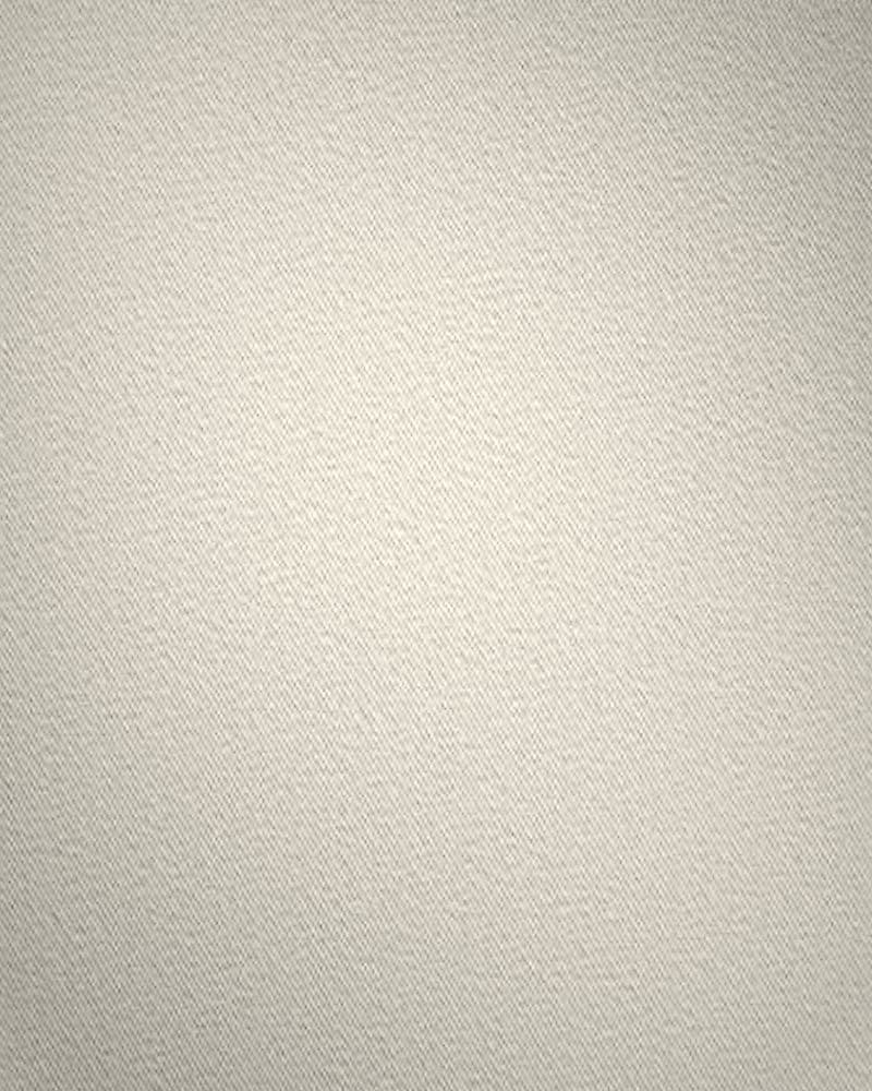 VPI 3550: close-up of white brushed cotton interlining with a soft, matte surface