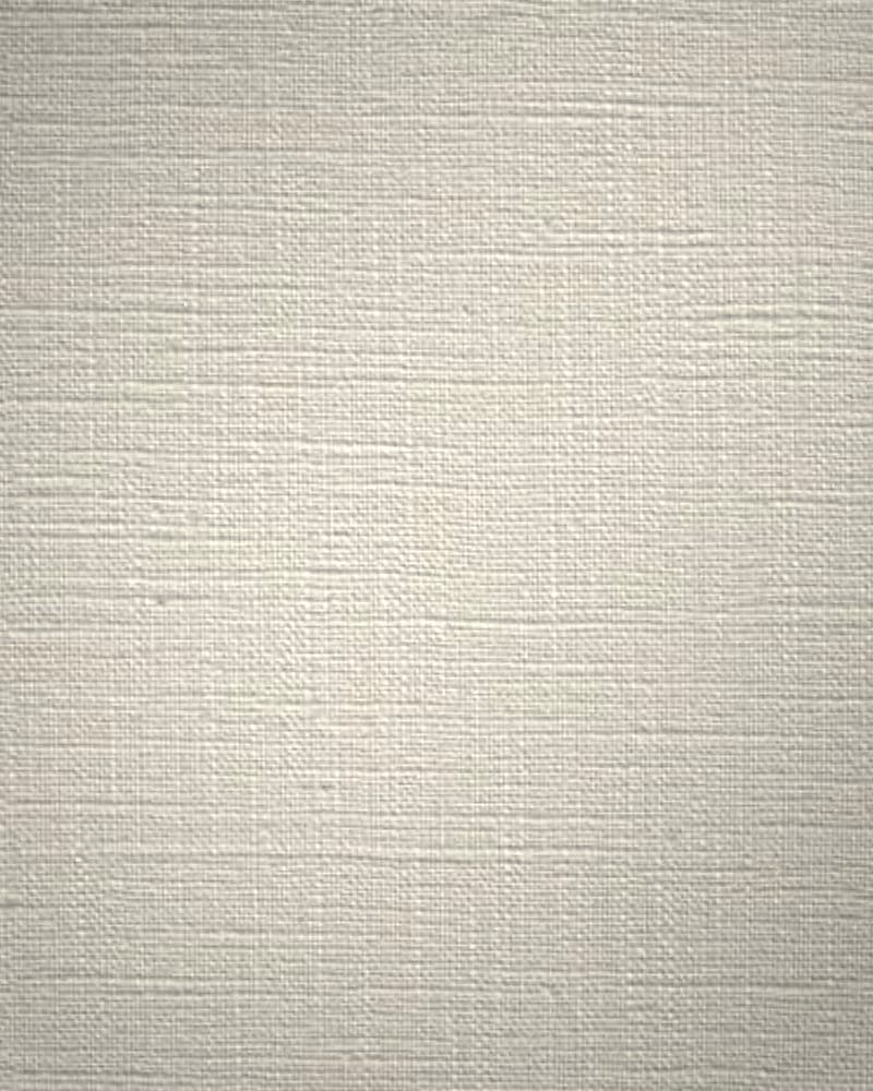 VPI 6656: close-up of white cotton interlining with a crisp, firm weave