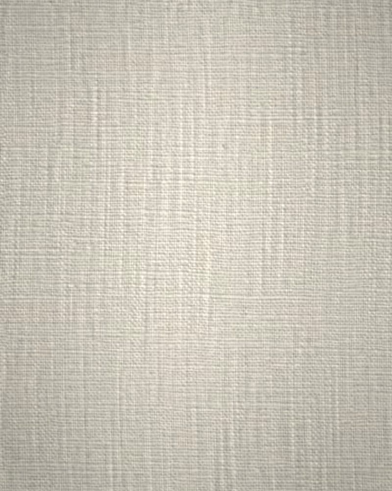 VPI 6658: close-up of white cotton interlining with a crisp, firm weave