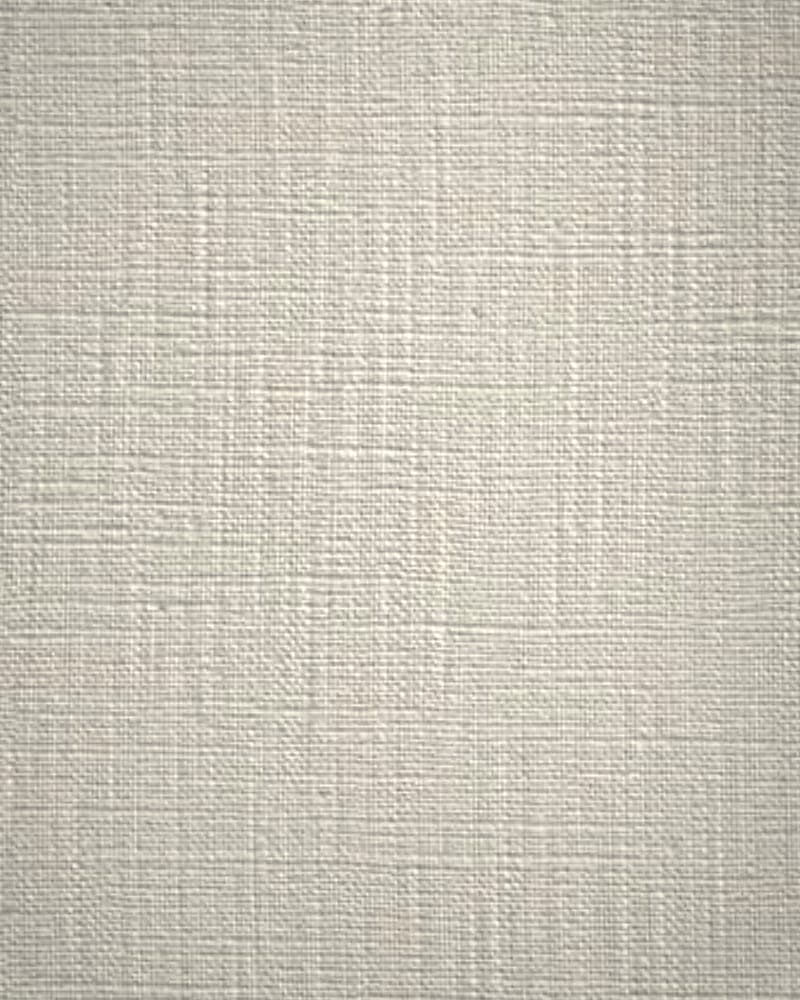 VPI 9959: close-up of white cotton interlining with a crisp, firm weave